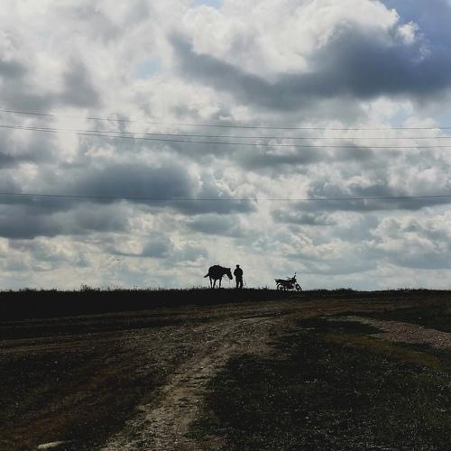 Photo #3490343