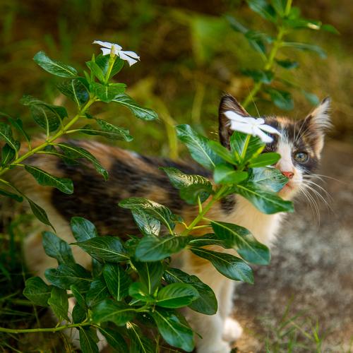 Photo #3490819