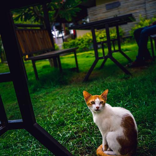 Photo #3490820