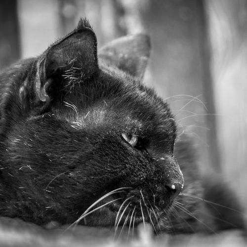 Photo #3490822