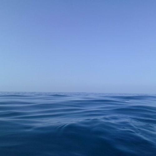 Photo #3490975