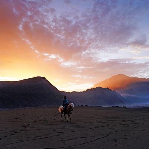 Morning in Bromo