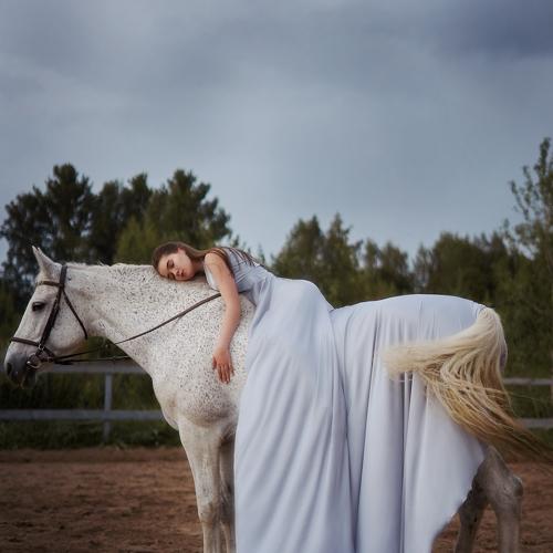 Photo #3494965