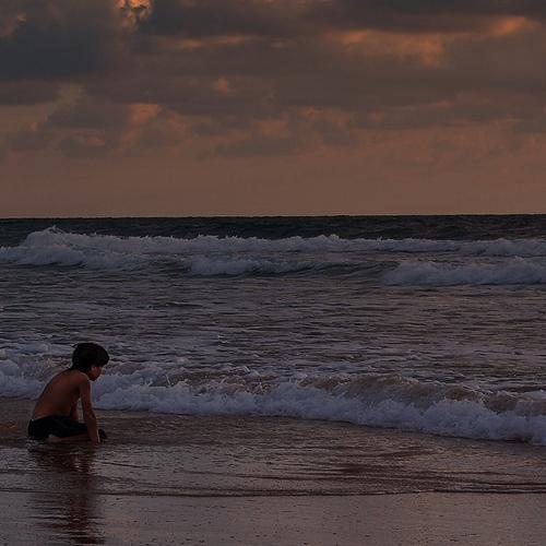 Photo #3495657