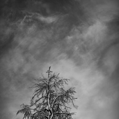 Reaching for the sky