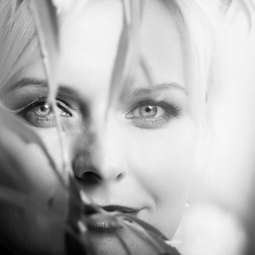 Photo #3497069