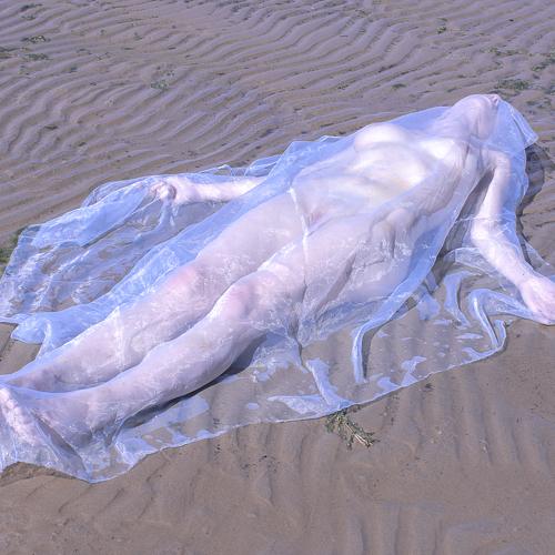 Dream of a Jellyfish