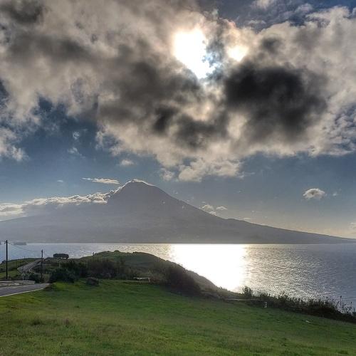 Pico