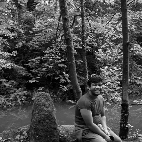 Forest time