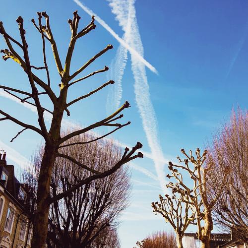 Sky draws