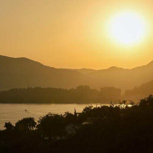 Photo #3499060