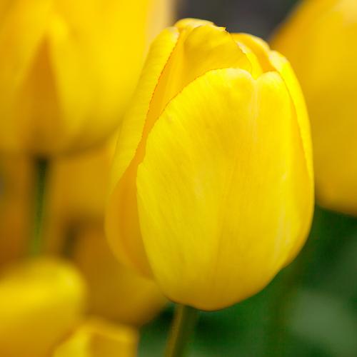 Photo #3500665