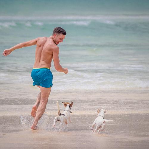 Games with dogs