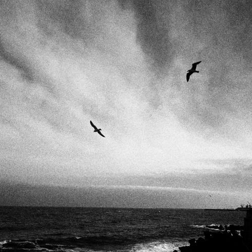 Black sea is black for now