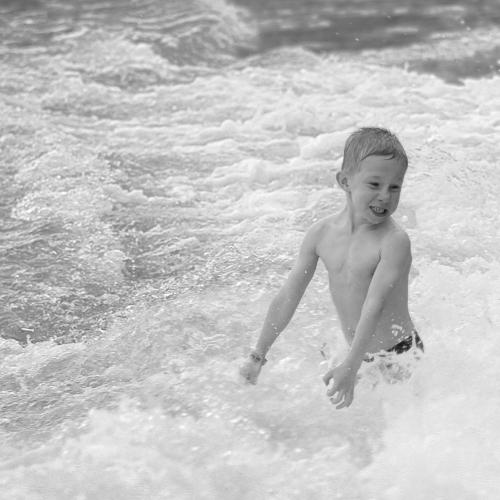 Photo #3502268