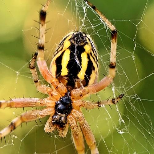 Фотография #3503116