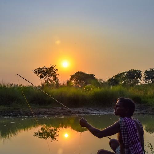 Fishing in the evening