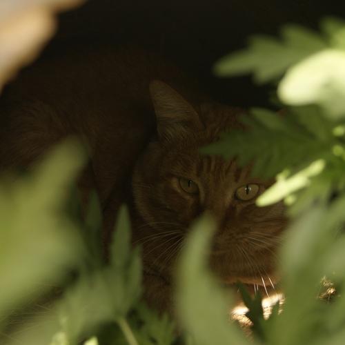 Photo #3504586