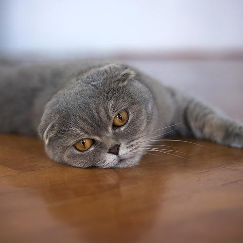 Photo #3504720