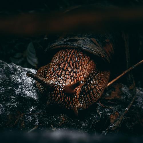 Photo #3505184