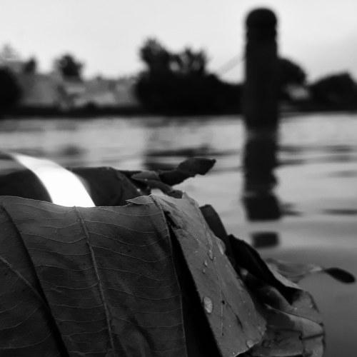 Photo #3505192
