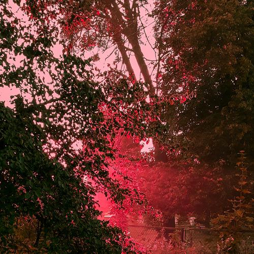 Photo #3505261