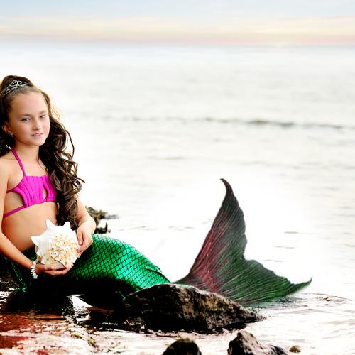 Photo #3505374