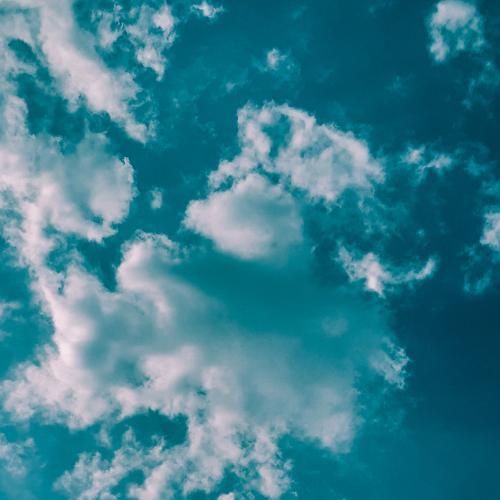 Photo #3505385
