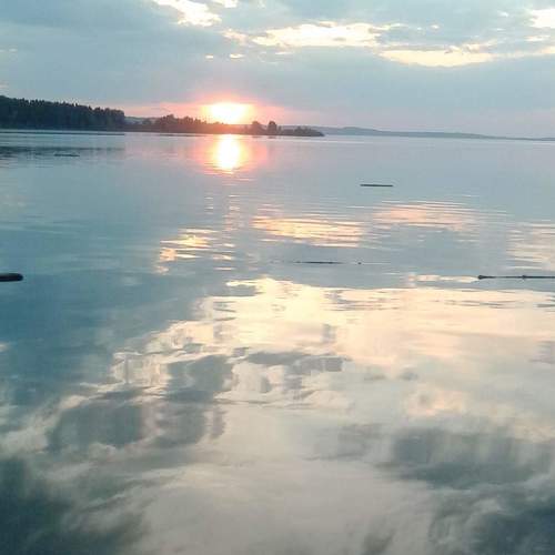Photo #3505530