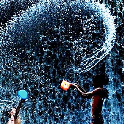 Photo #3505659
