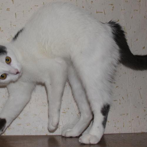 Photo #3505815