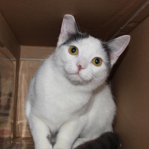 Photo #3505817