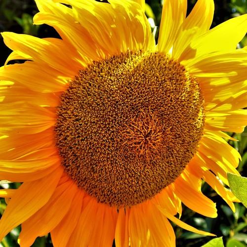 Photo #3506610