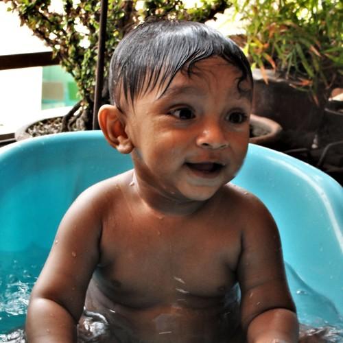 Photo #3506690