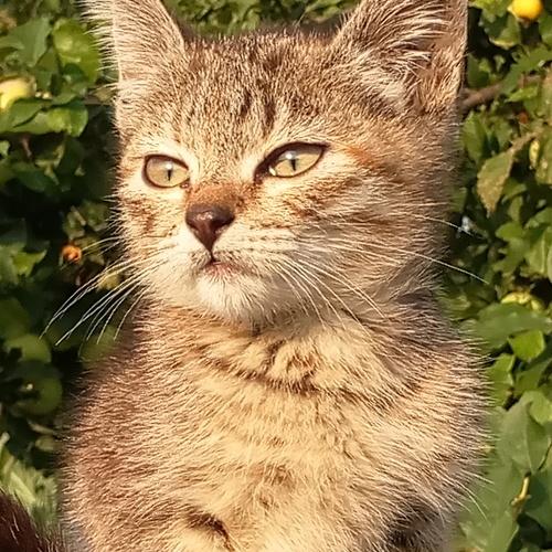 Photo #3506911