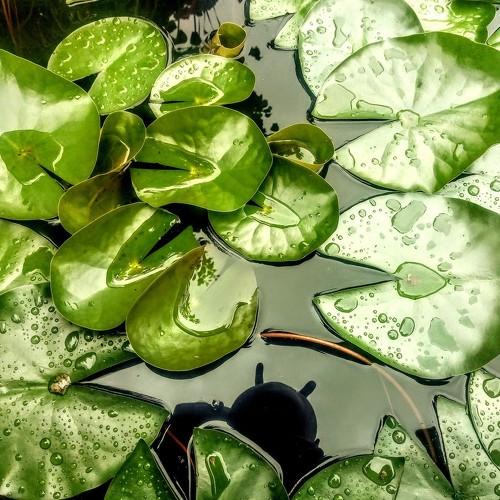Photo #3506954