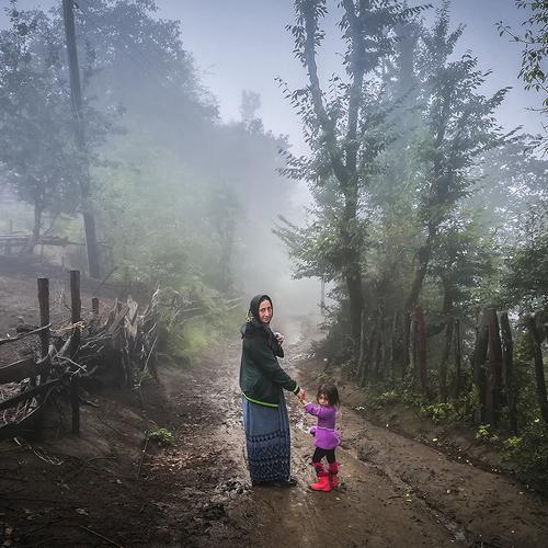 Photo #3507112