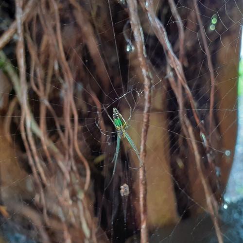 Photo #3507324