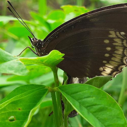 Photo #3507327