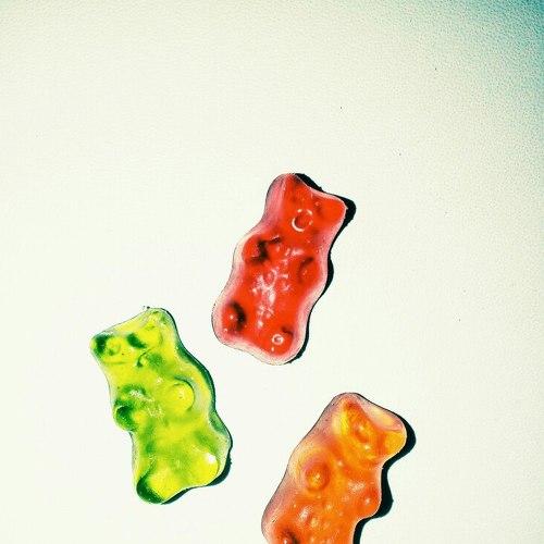 Photo #3507521