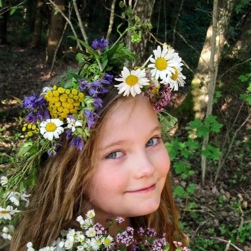 Photo #3507619