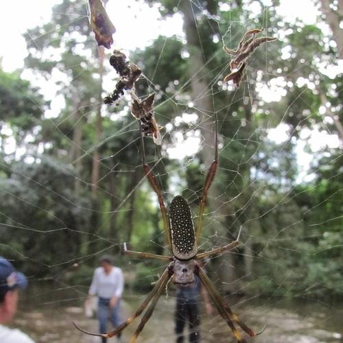 Photo #3507686