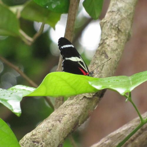 Photo #3507687