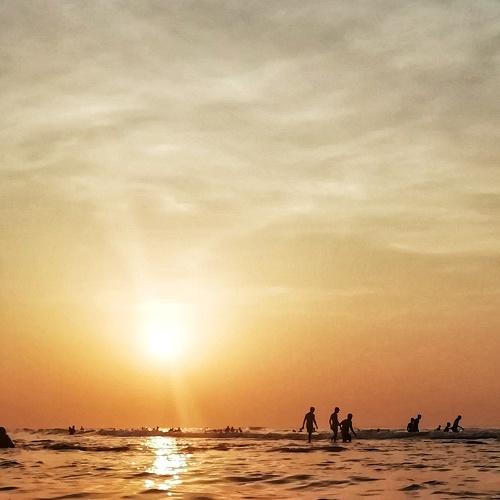 Photo #3508434