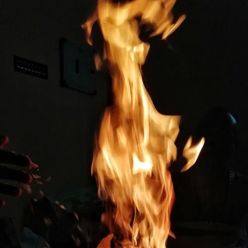 Photo #3508435