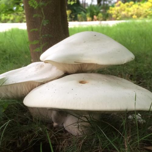 Photo #3508790
