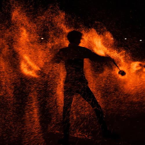Photo #3509052
