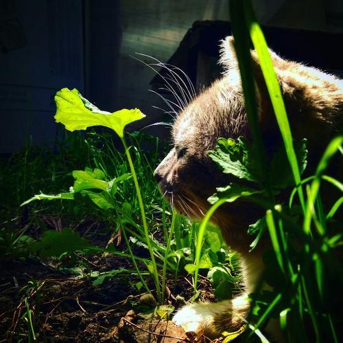 Photo #3509557