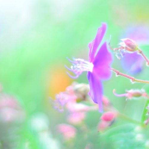 Photo #3509652