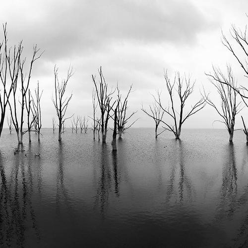 Photo #3510216